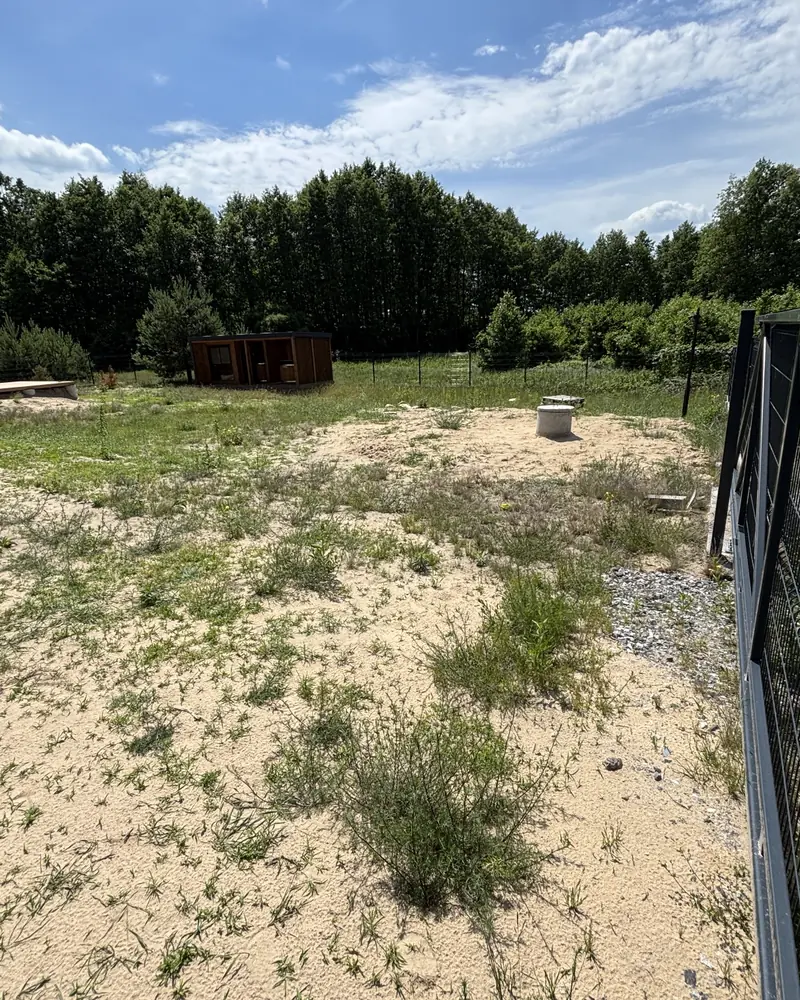 Trawnik z falistymi rabatami – przed realizacją